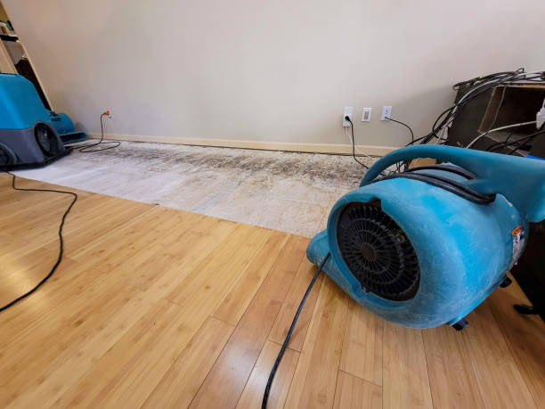Professional Sewage Cleanup technician working in Playa Del Rey, CA
